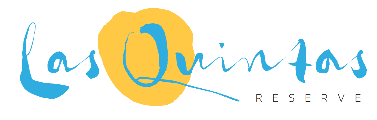 ca7771cc-06a1-440e-808d-f151be8d8972