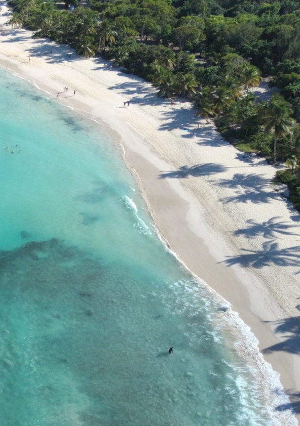 AdobeStock_3353747665